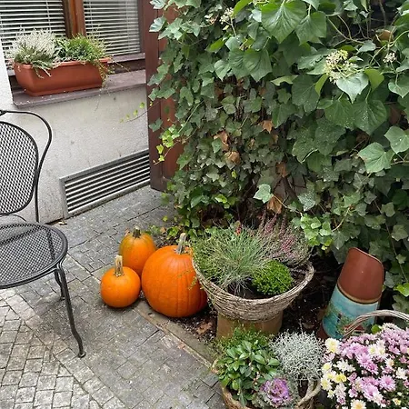 Vandrerhjem Little Quarter *
